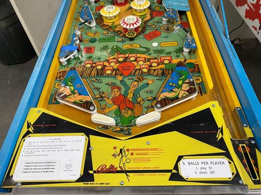 1972 Bally Nip-It Pinball Machine Fully Restored Image