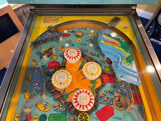 1973 Bally Nip-It Pinball Machine Image