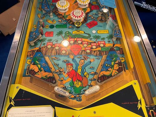 1973 Bally Nip-It Pinball Machine Image