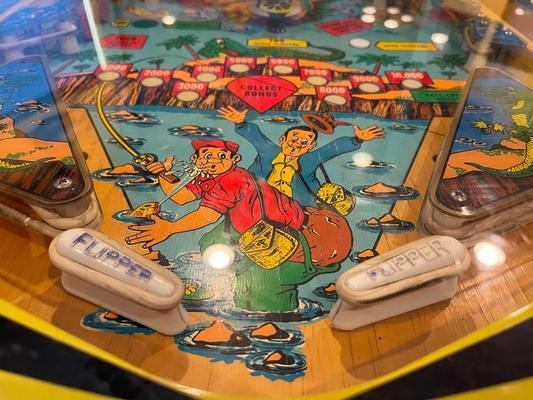 1973 Bally Nip-It Pinball Machine Image