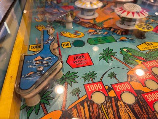 1973 Bally Nip-It Pinball Machine Image