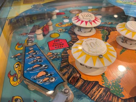 1973 Bally Nip-It Pinball Machine Image