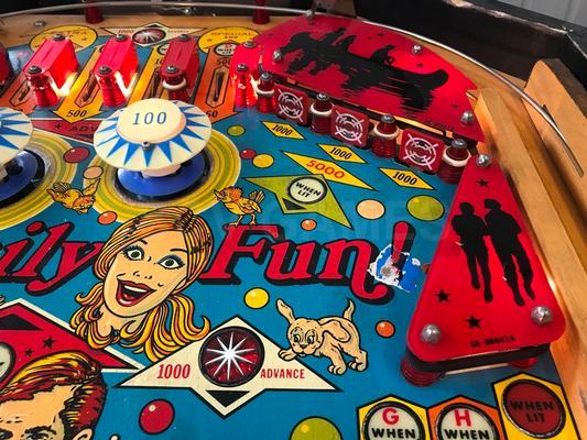 1979 Game Plan Family Fun Cocktail Pinball Machine Image