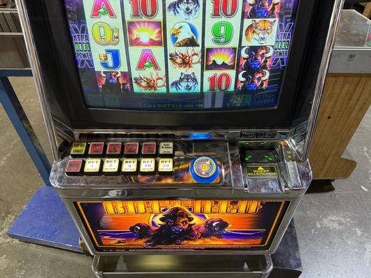 2006 Aristocrat Buffalo Video Poker Slot Machine Image